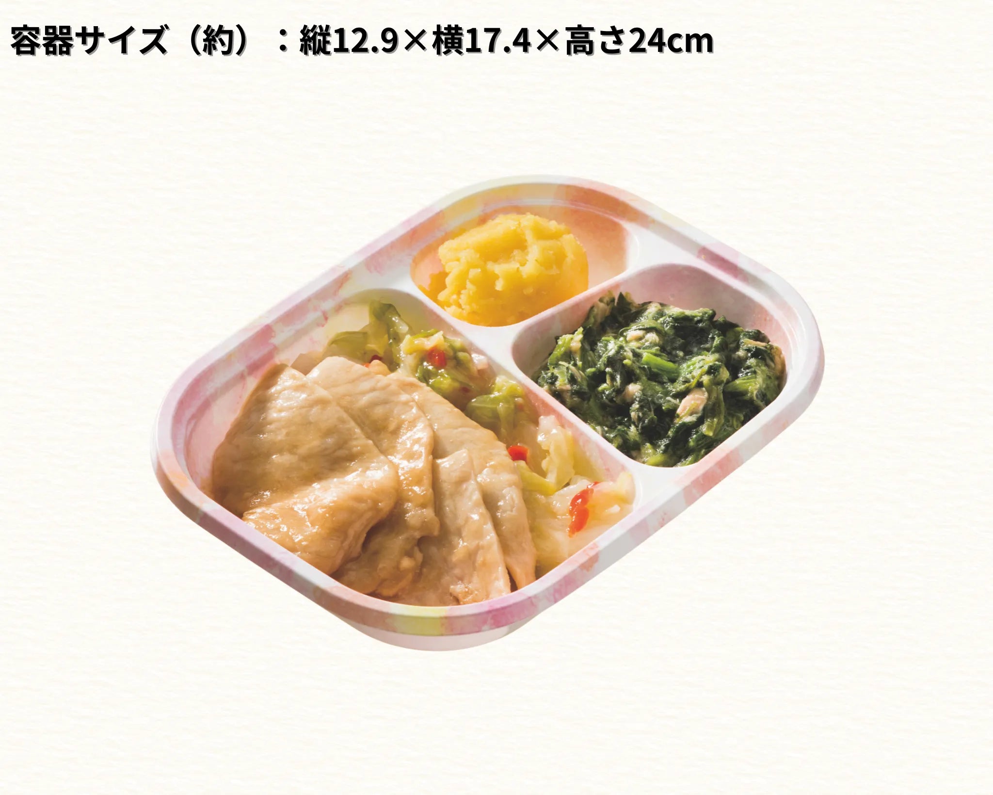 容器サイズ（約）縦12.9×横17.4×高さ24cm
